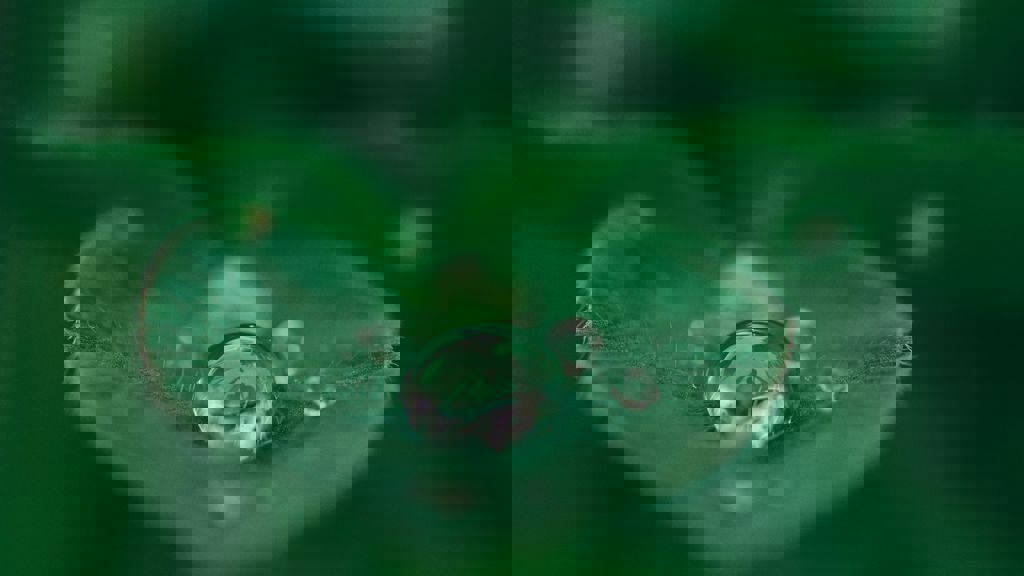 Aaron Burden Dxye1d08biy Unsplash