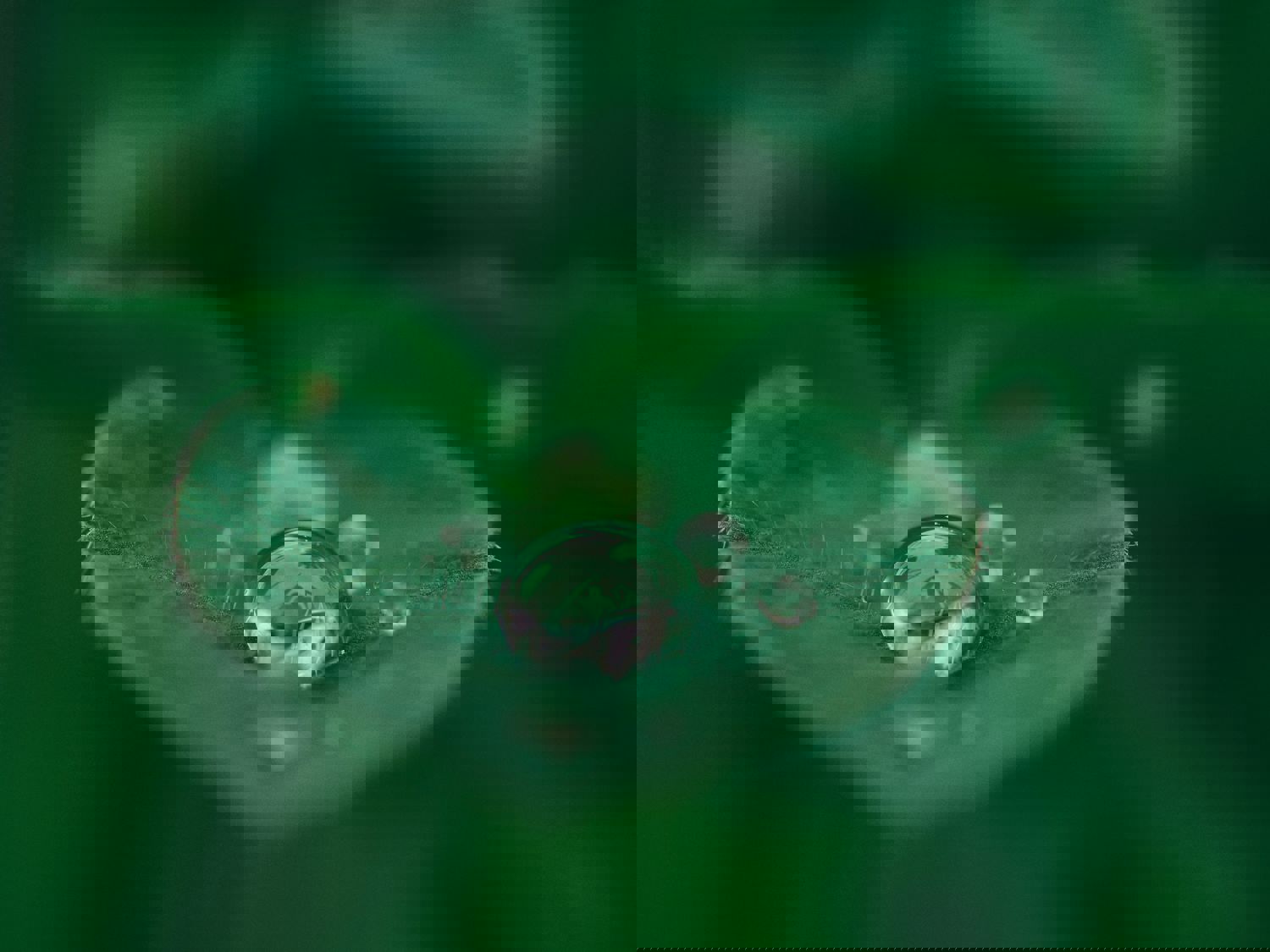 Aaron Burden Dxye1d08biy Unsplash